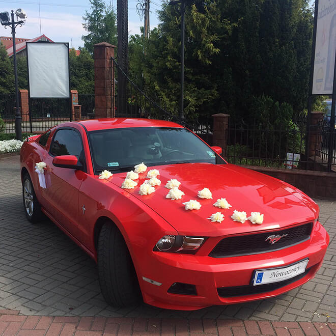 Mustang ozdobiony do ślubu