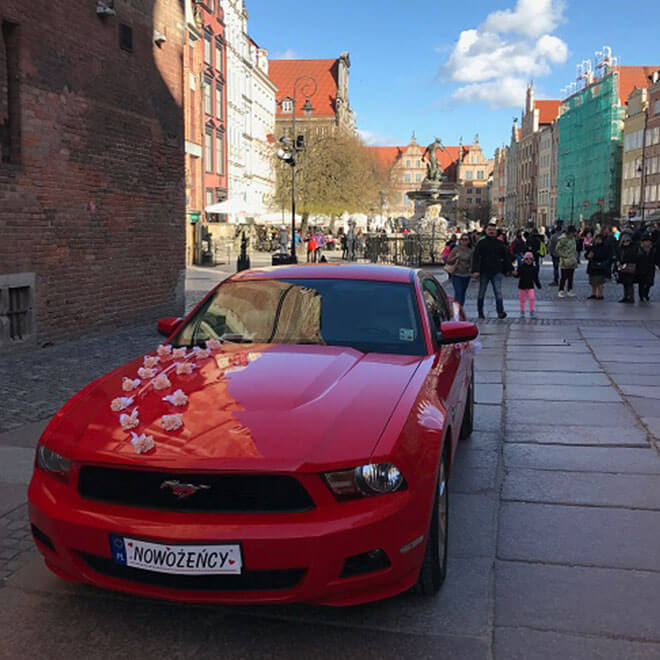 Mustang przygotowany do ślubu - przód auta
